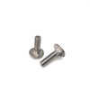 Stainless Steel Bolt with Square Neck DIN603 M10 M12 Carriage Bolt