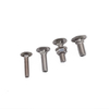 Stainless Steel Bolt with Square Neck DIN603 M10 M12 Carriage Bolt