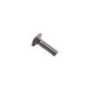 Stainless Steel Bolt with Square Neck DIN603 M10 M12 Carriage Bolt