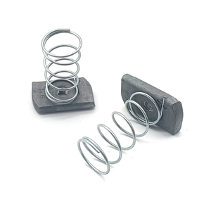 الكربون الصلب الشريحة الجوز Unistrut الربيع الجوز لنظام تركيب الطاقة الشمسية