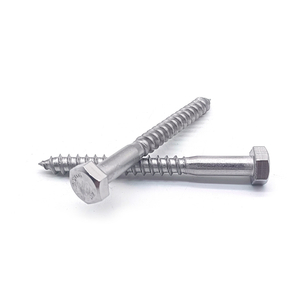 DIN571 Stainless Steel Hexagon Head Wood Lag Screw Zinc Plated